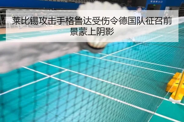 莱比锡攻击手格鲁达受伤令德国队征召前景蒙上阴影（BOBSPORTS）